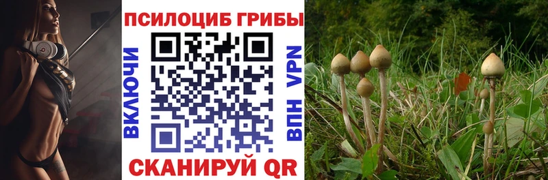 Псилоцибиновые грибы прущие грибы  ОМГ ОМГ зеркало  Давлеканово 
